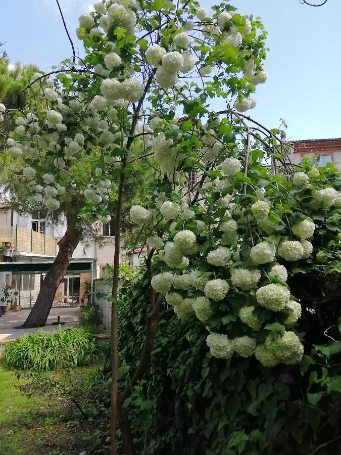 Chambre D'Hotes Pmr Hildegarde Bed & Breakfast Moissac